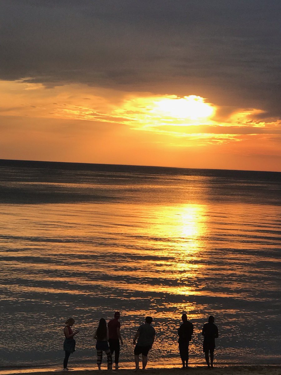 phylojennatics's tweet image. #Botany2024!! What a fabulous time- excellent research, great friends, and beautiful Lake Michigan sunsets (ft. the new Latvis lab album cover photo😎) See you next year!