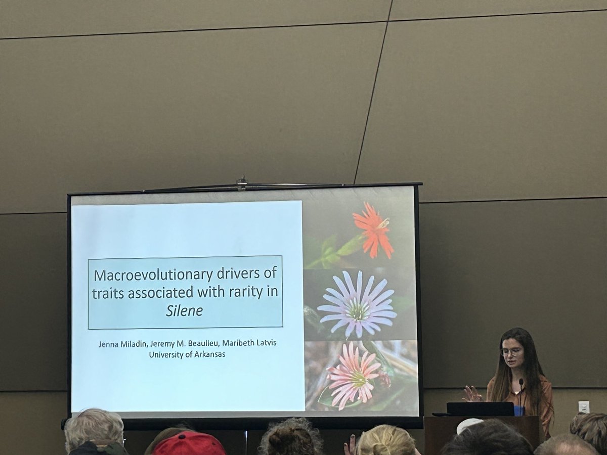 phylojennatics's tweet image. #Botany2024!! What a fabulous time- excellent research, great friends, and beautiful Lake Michigan sunsets (ft. the new Latvis lab album cover photo😎) See you next year!