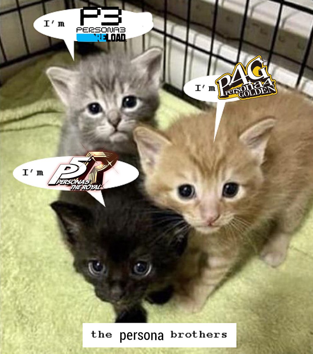 André (@andrezitosss) on Twitter photo 