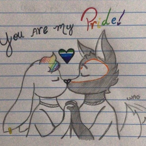 🐺 Como começou // Como estamos 🐰