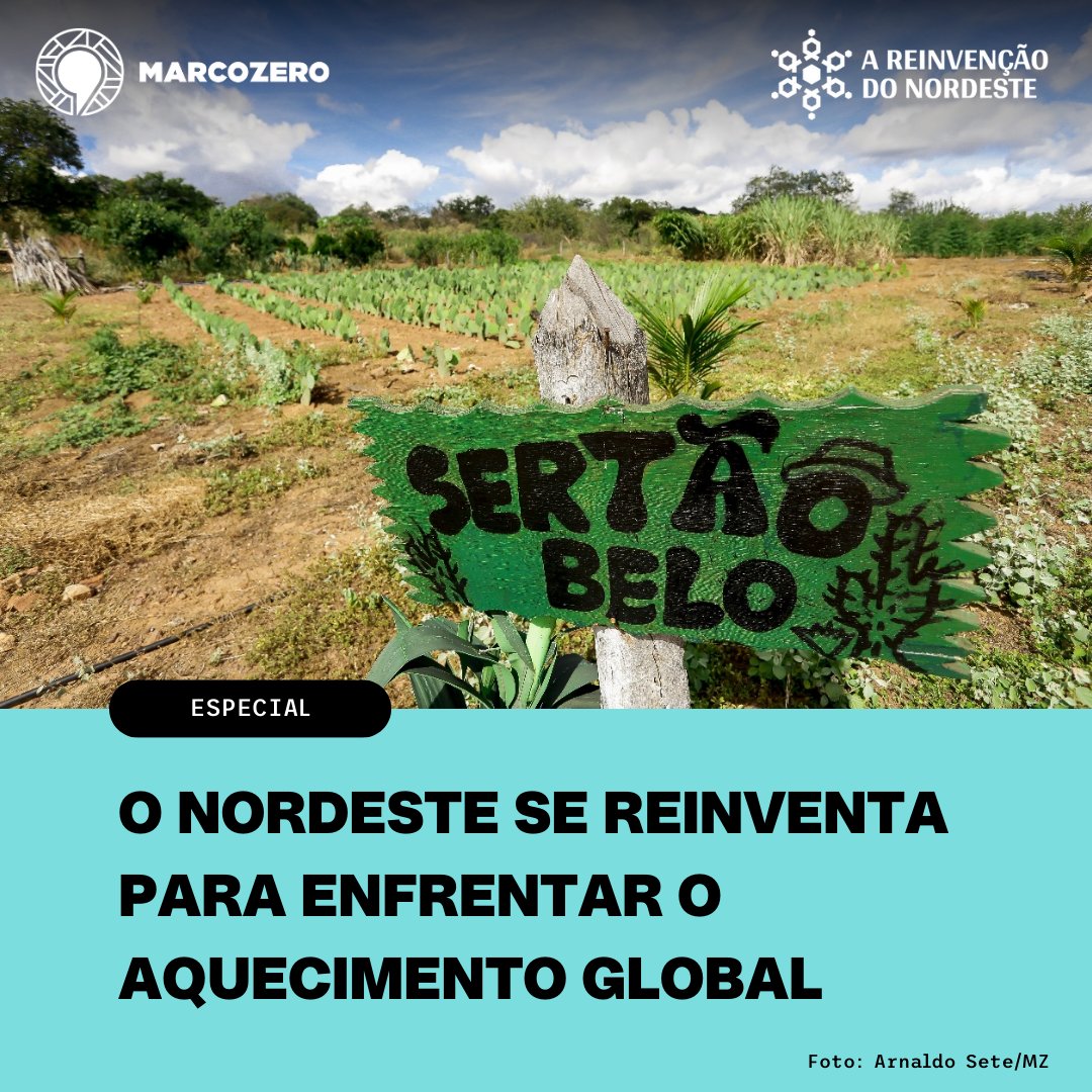 🌞 Leia a 1ª reportagem da nova série especial da MZ que conta como a sociedade civil do semiárido nordestino se articulou para construir soluções de convivência com o clima e, ao mesmo tempo, gerar renda, produzir alimentos e conservar o ambiente.

🍊👉 marcozero.org/o-nordeste-se-…
