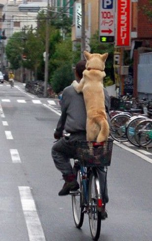 퐆 (@popoxzw) on Twitter photo 