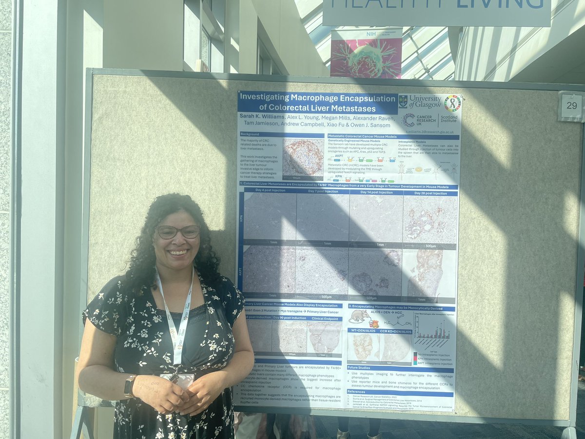 Science and Innovation at Cancer Research UK (@crukresearch) on Twitter photo Some #CRUKFunded research spotted at #BiCconf24 🔎
PhD student Sarah is presenting her work which uses mouse models to investigate the encapsulation of liver tumours by macrophages.
<a href="/owen_sansom/">Owen Sansom 🏳️🌈</a> | <a href="/CRUK_SI/">CRUK Scotland Inst</a> Some #CRUKFunded research spotted at #BiCconf24 🔎
PhD student Sarah is presenting her work which uses mouse models to investigate the encapsulation of liver tumours by macrophages.
<a href="/owen_sansom/">Owen Sansom 🏳️🌈</a> | <a href="/CRUK_SI/">CRUK Scotland Inst</a>