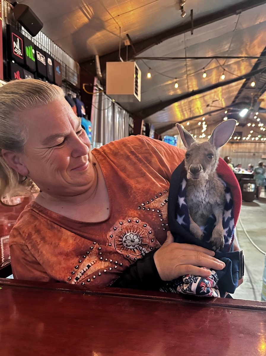 NoLabelBrewCo's tweet photo. At No Label, we're pet friendly - including kangaroos! Katy, Texas - you wild! 🤣 Taps open until 10, Coleton Black playing until 830 and kids eat FREE with TX BIRRIA BOYZ! 🦘 https://t.co/1bK1Qo9BMk