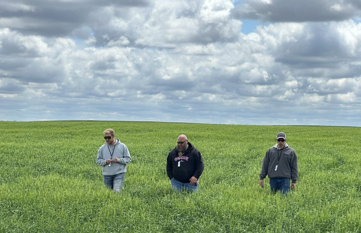 Great picture my wife, copilot and administrative executive took today of the scout crew in a beautiful barley field.