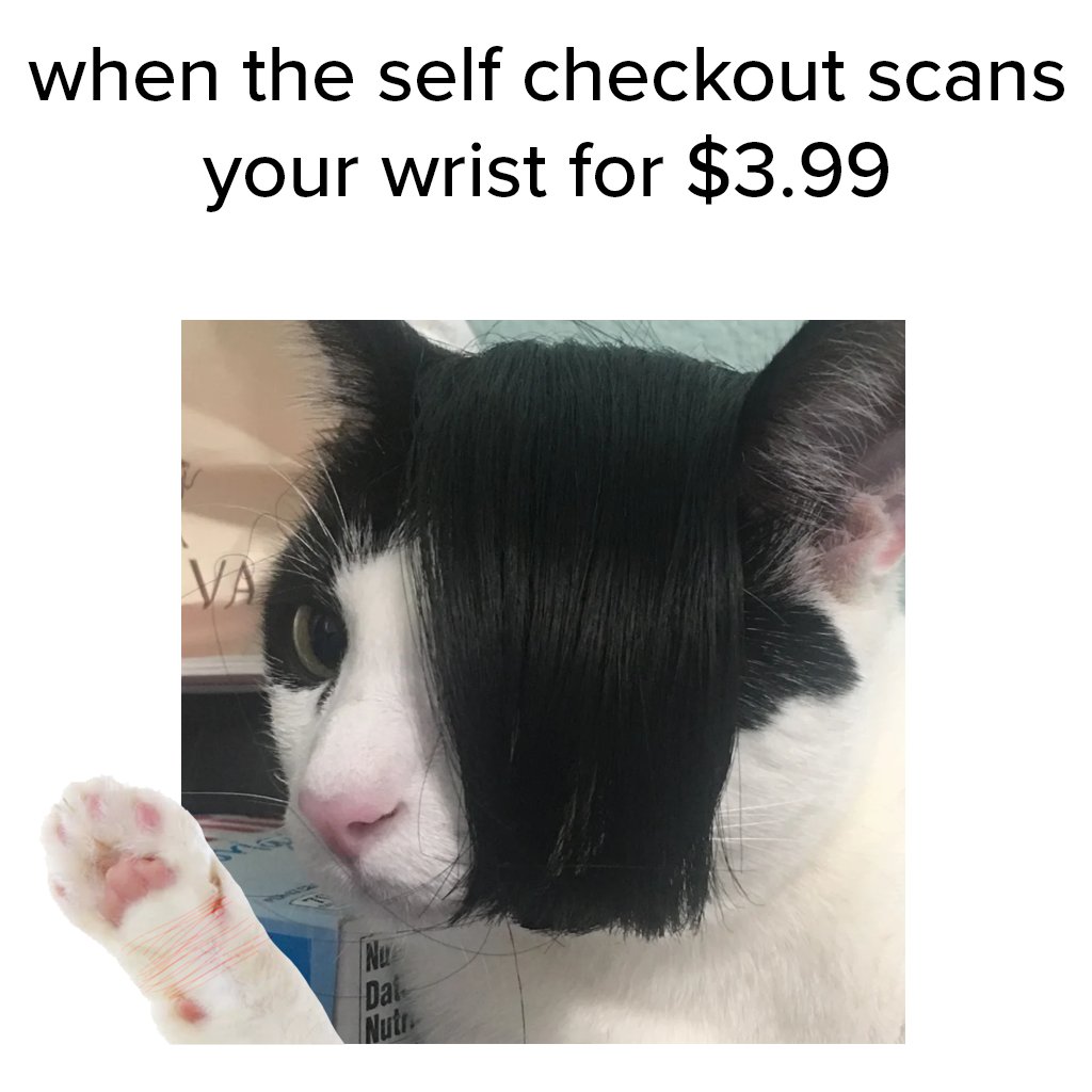 EMO CAT (@emocat_sol) / Posts / X