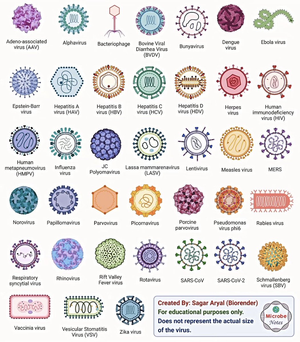 Oren Gottfried, MD tweet media