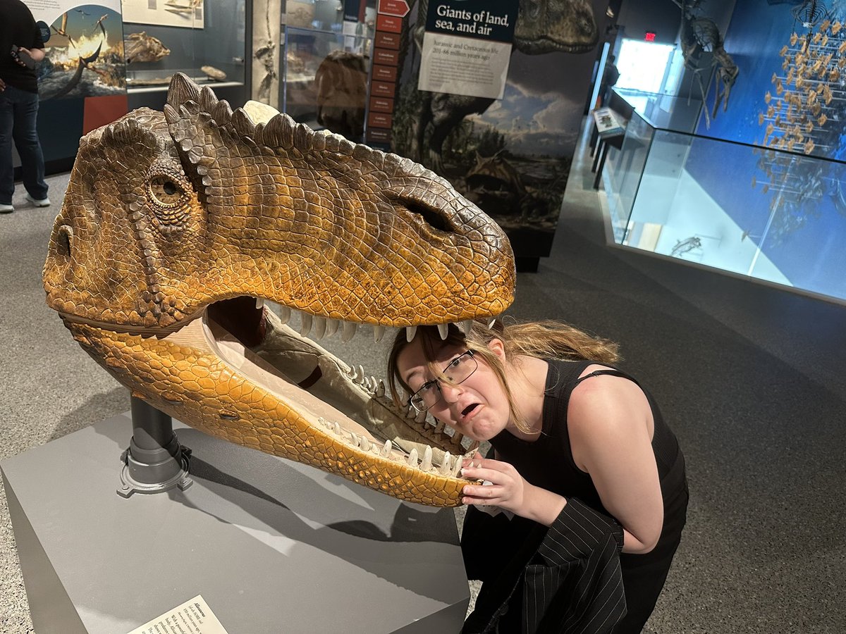 PaleoTrin's tweet image. Day 4 of #napc2024! Went to computational paleontology this morning and in the afternoon went to the natural history museum! (This of course means goofing around with theropod skulls). They also had a lovely edmontosaurus skull which made my hadrosaur loving heart melt!