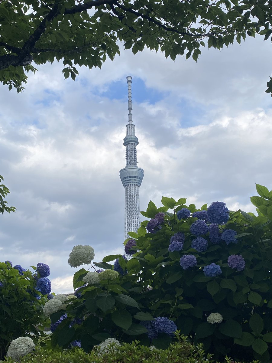 Japanese45ee's tweet photo. Chill 🌸🚶 https://t.co/aPk2Akb1wE