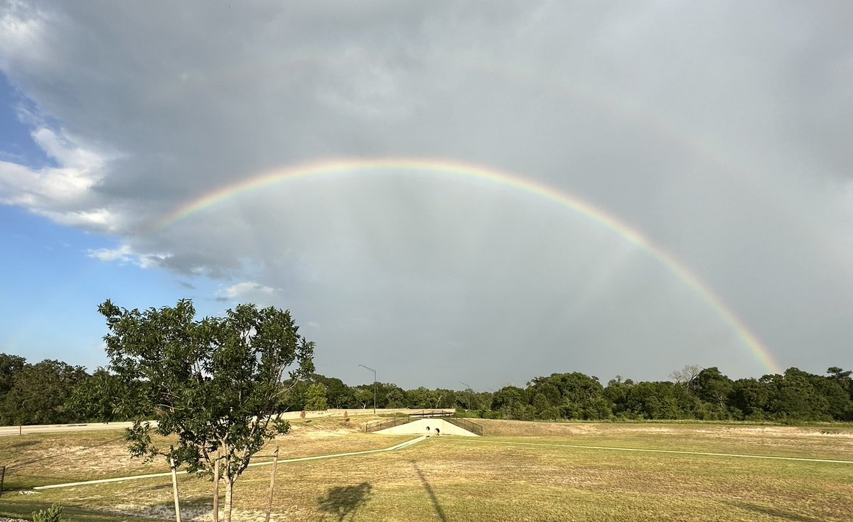 Cathy Stark tweet media