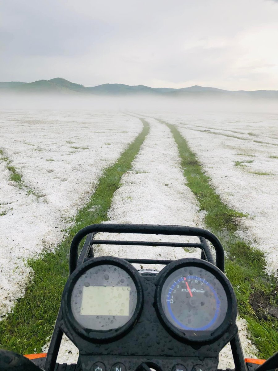 Өглөөний мэнд 
Цас биш мөндөр