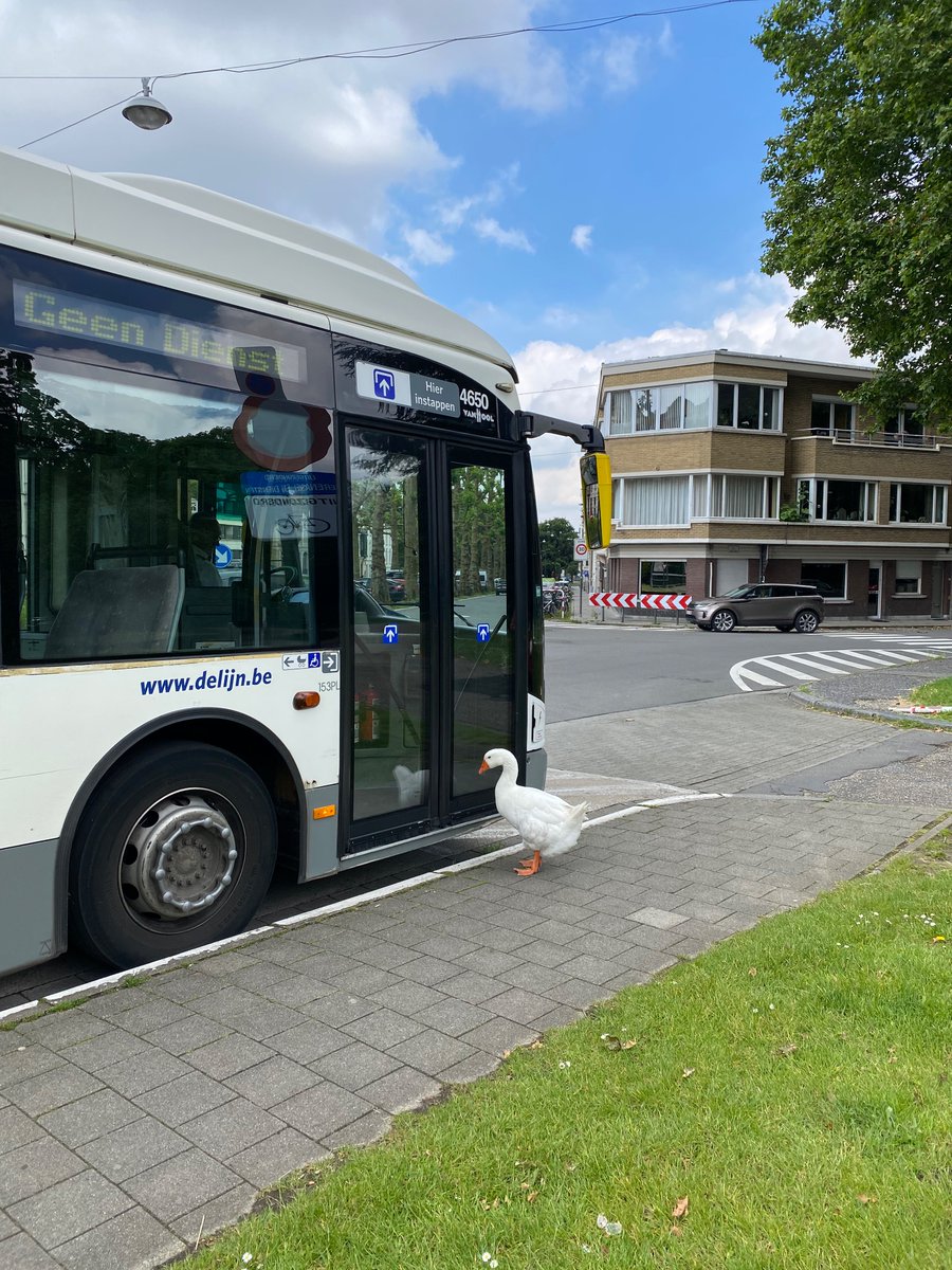 Julienne_Chen's tweet photo. “A developed country is not a place where the poor have to have cars. It’s where the public transport is so good even the geese want to take it” (Semi-paraphrased) https://t.co/ifqJyThvHO