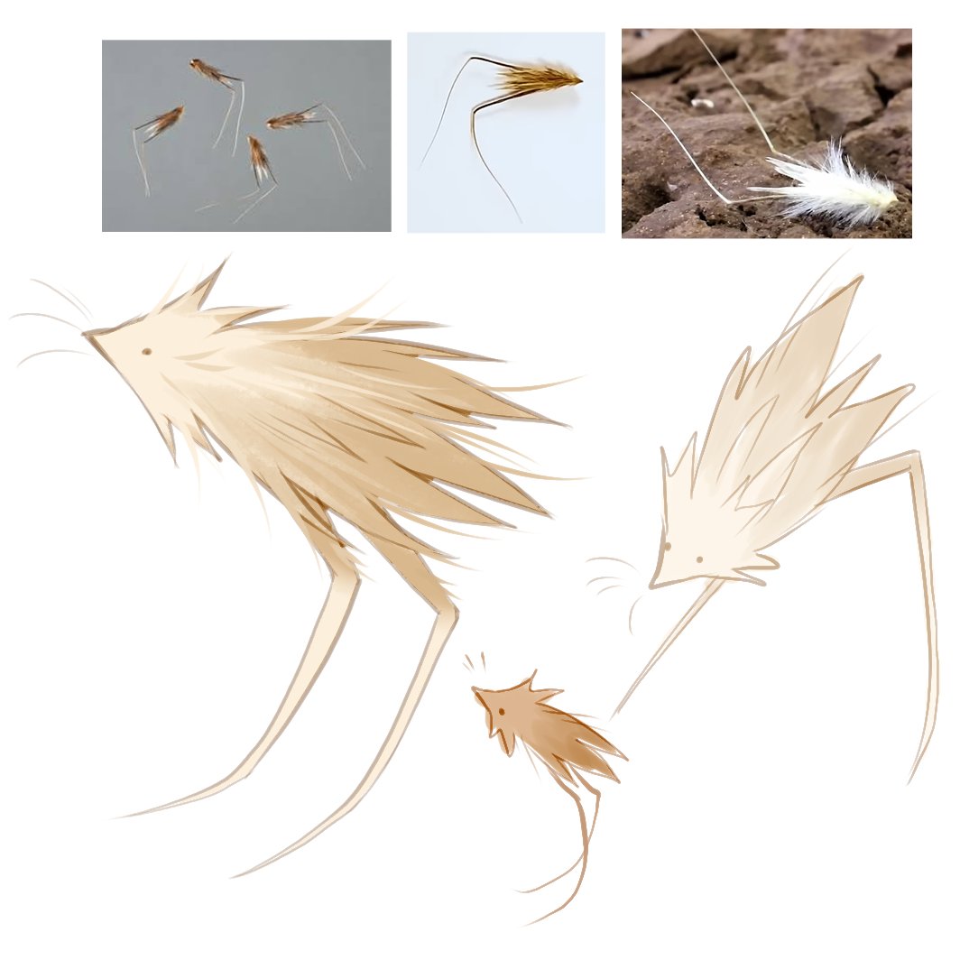 wild oat seeds