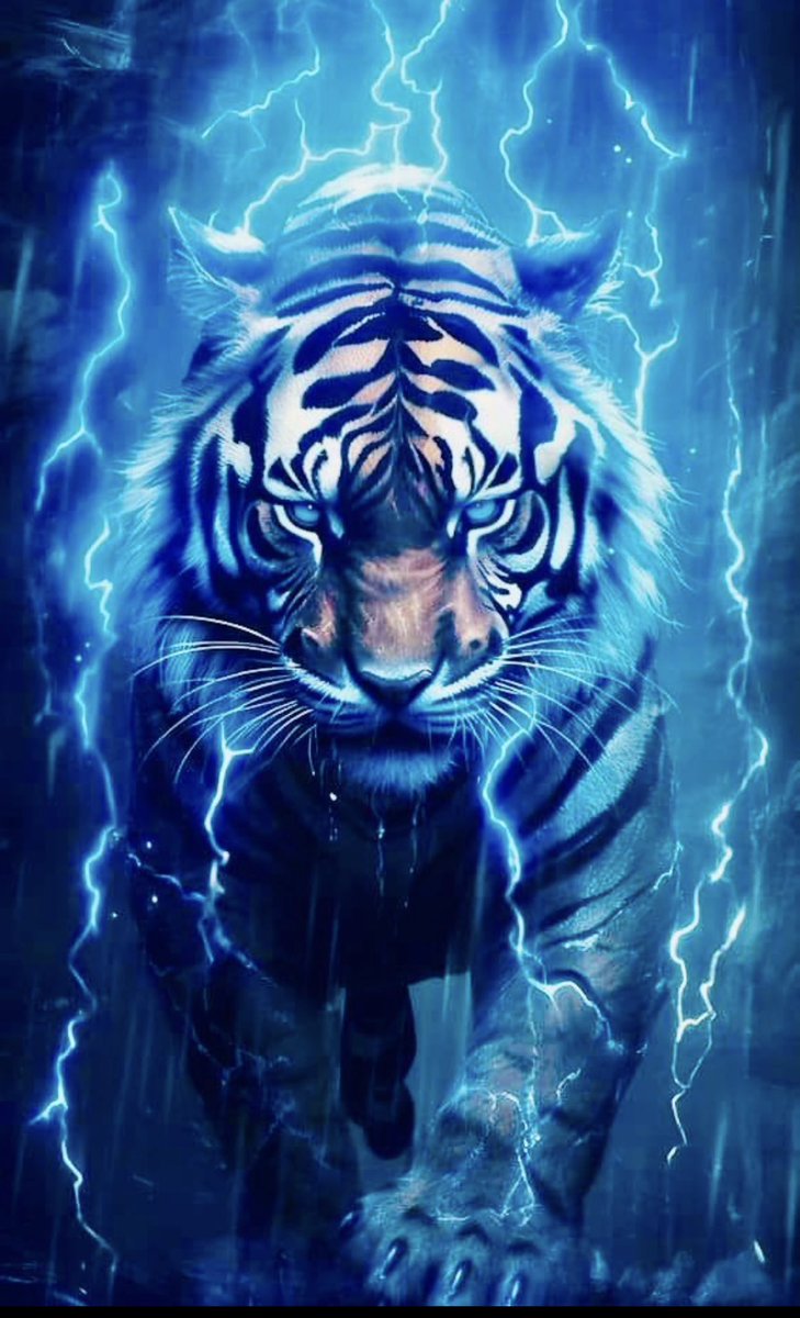 CoachDPrice11's tweet image. Players start moving in tomorrow for the summer session!!! Let the journey begin!!!!! 
@GoJSUTigersWBB 
#THEEiLOVE #NOW #NeverScared #ItsNotGoingToBeEasy