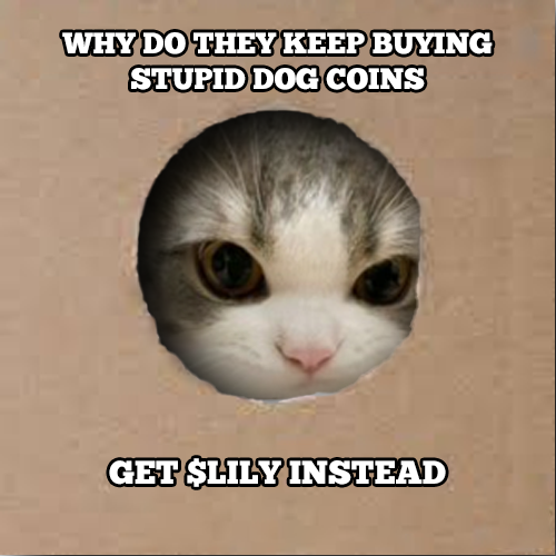 lilycto's tweet photo. @blknoiz06 Why $Lily? Because who wouldn't want their investment to be as cute as it is profitable? 🚀😺 #CryptoCuties #LilyToBilli https://t.co/QpoNVPEgfn