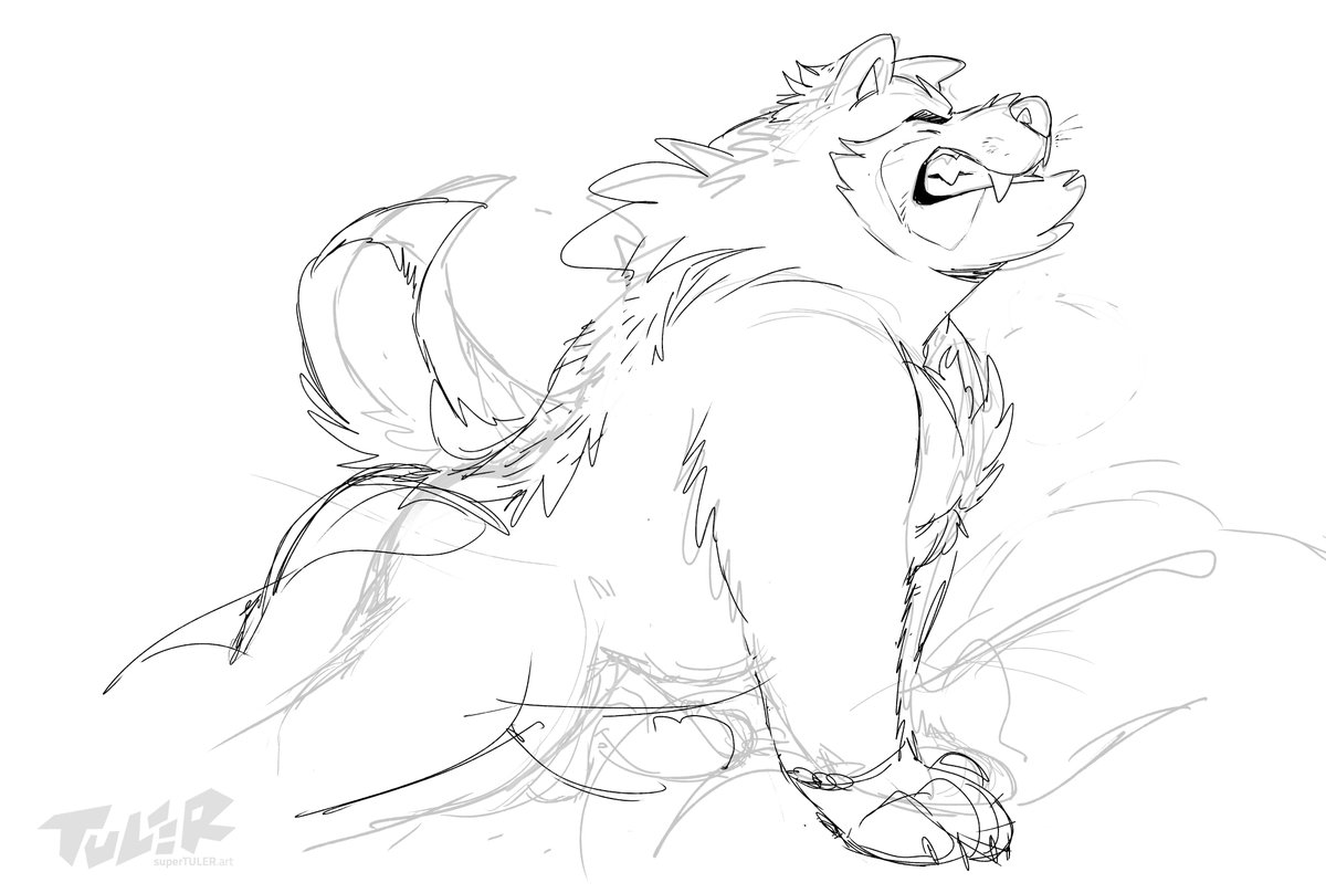 TULER 🐾 tweet media