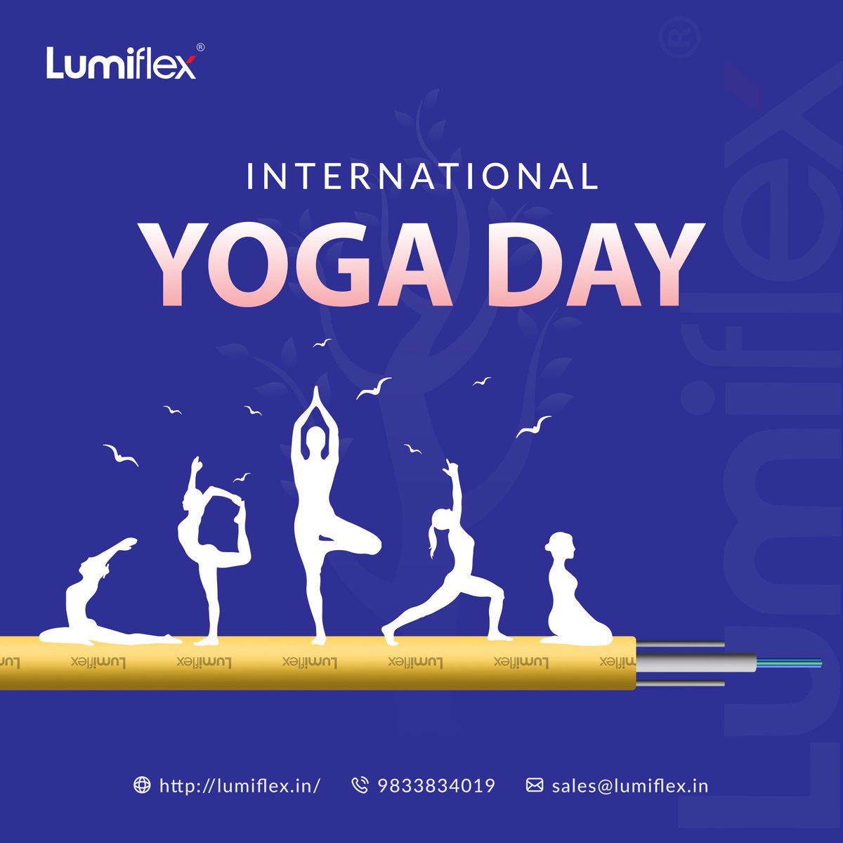 lumiflex_c's tweet image. Lumiflex Cables &amp;amp; Wires wishes you a #happyyogaDay! May your practice be as flexible and strong as our wires

🌐 Visit our website:- lumiflex.in

📞 Contact no:- 9833834019 / 7021969960

📩 Email id:- sales@lumiflex.in