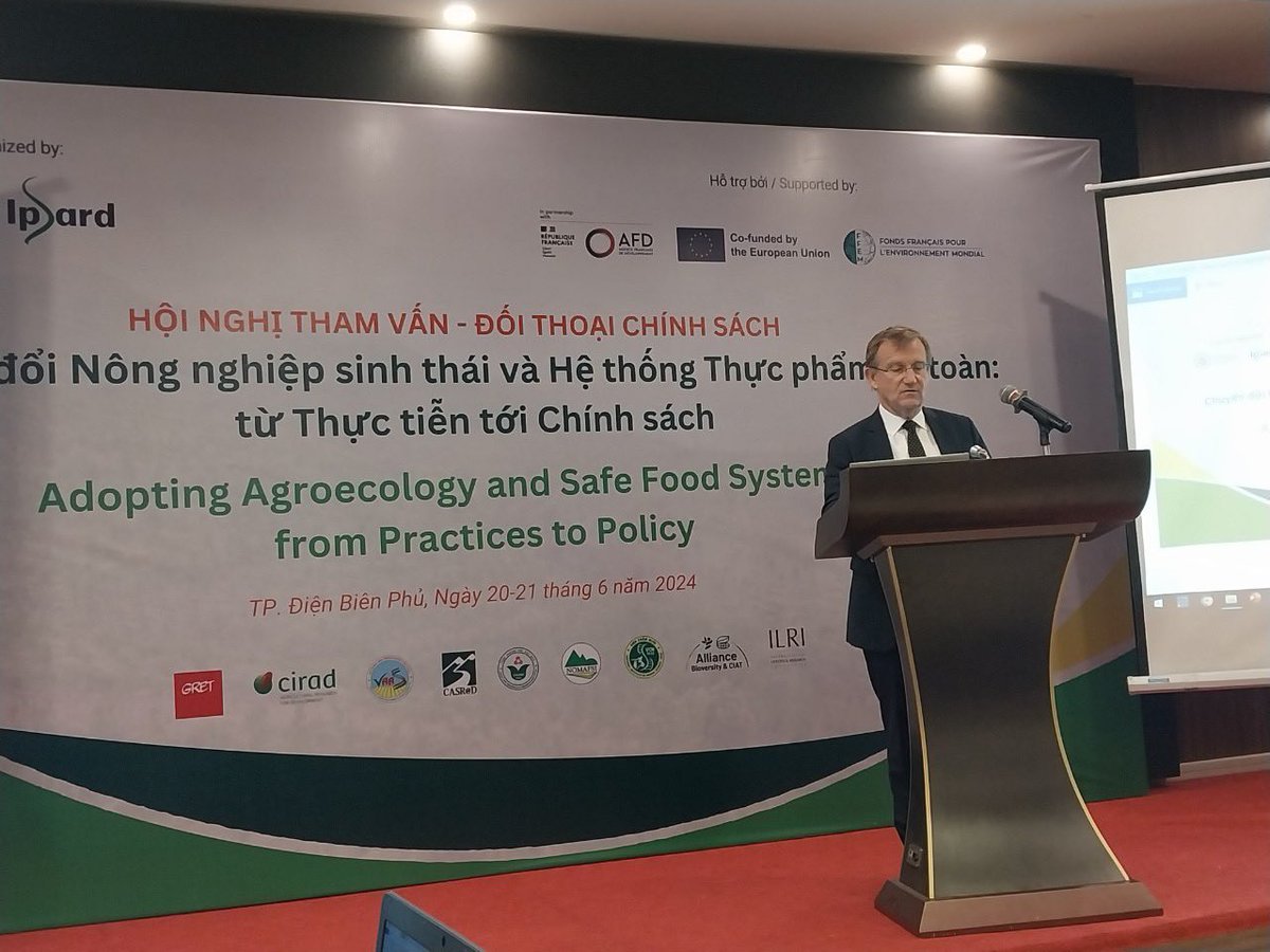 Conan Herve tweet media