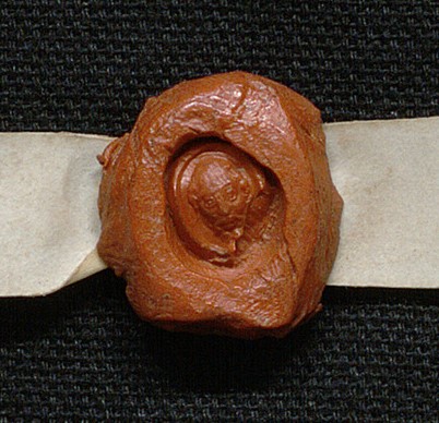 🎖️#LeSceauDuMardi
Sceau privé de Jean Chauchat, trésorier général des aides en Languedoc.
Archives de Montpellier - Louvet506