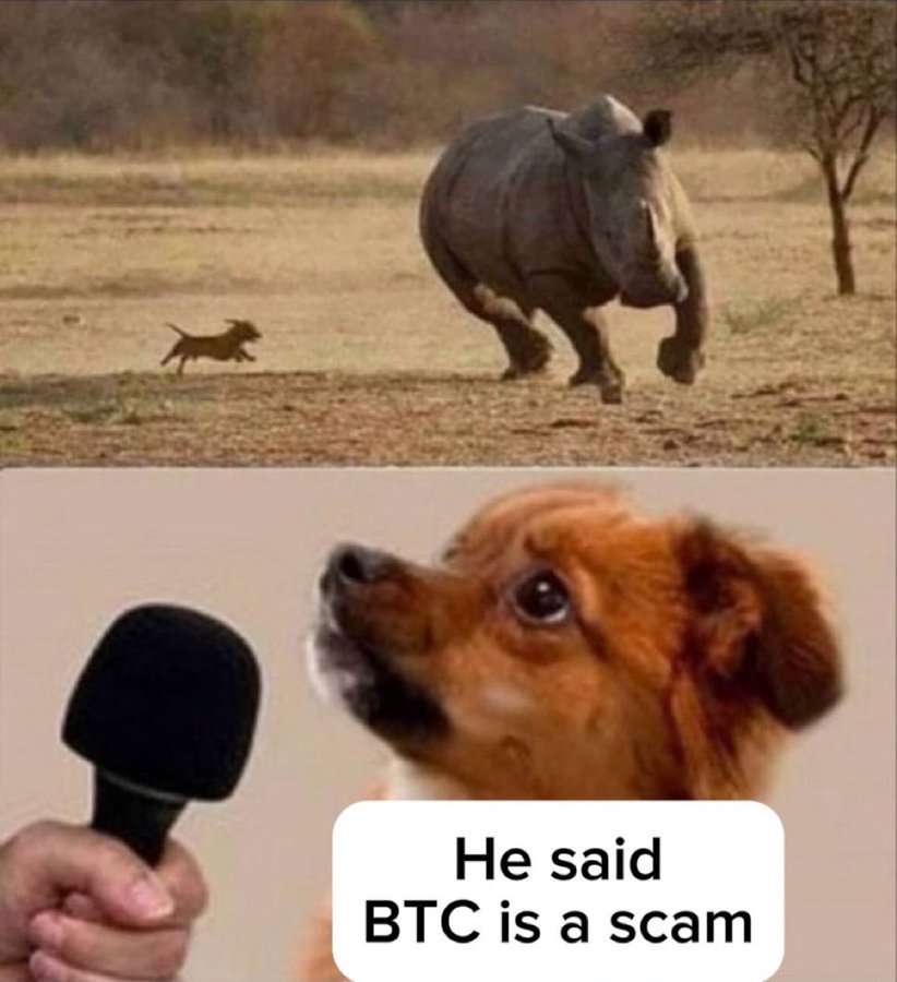 naiivememe's tweet photo. https://t.co/ls3beTZXBU