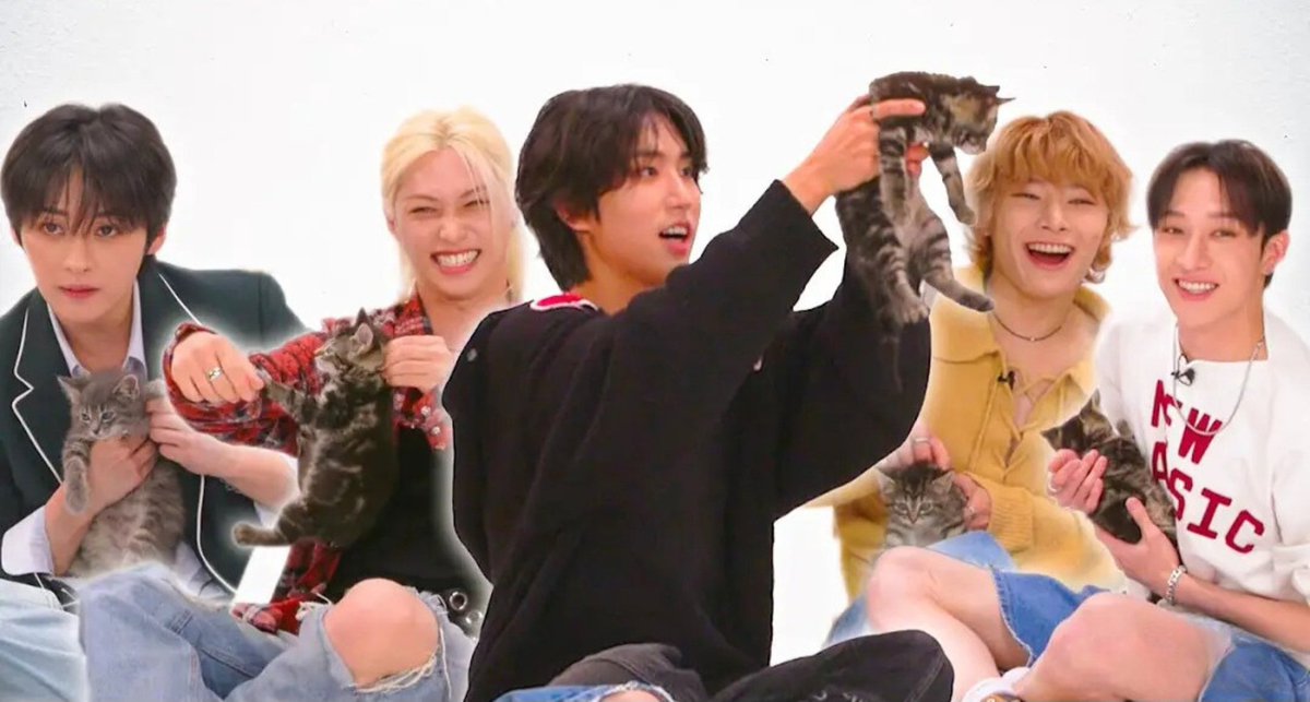 youtu.be/osl2rqf3Obo| Come to Buzzfeed and get surrounded by adorable cats while we answer some questions. These kitties are so cute, I want to take them all home. We love playing with these cats!