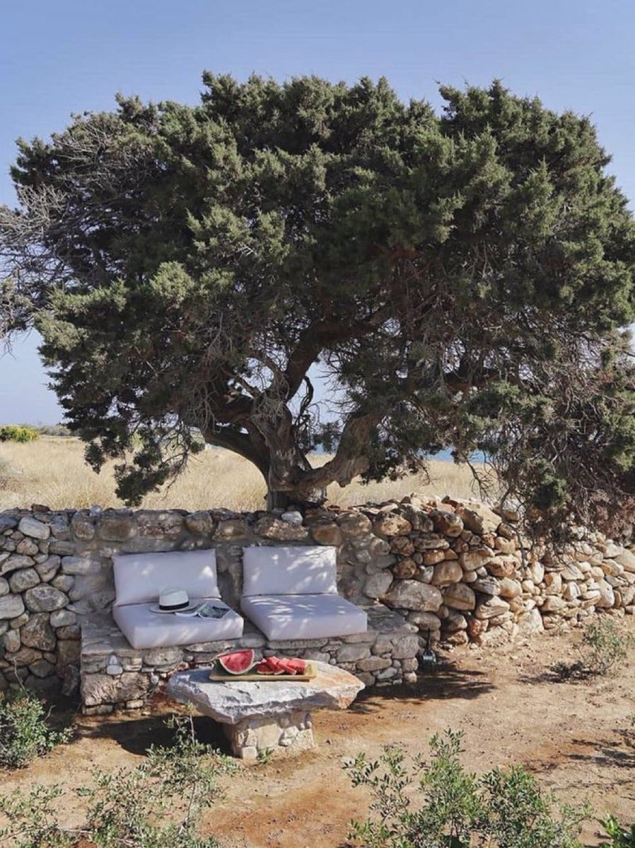 mediterraneanAE's tweet image. 