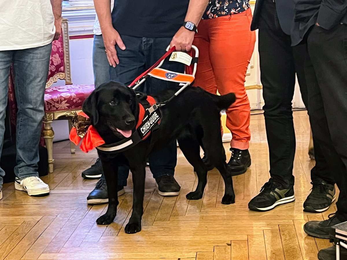 AmandineBarioz's tweet photo. 1 belle soirée, table ronde donnée à l'occasion de la remise du 400e chien guide par l'association de chiens guides d'aveugles, beaucoup de monde, avec Association de Chiens Guides d'Aveugles, @FFAChiensguides…
Cc @villedelyon @Mairie3Lyon
#Ensemble
#Handicap
#ChiensGuides https://t.co/HenAOTZ7UT