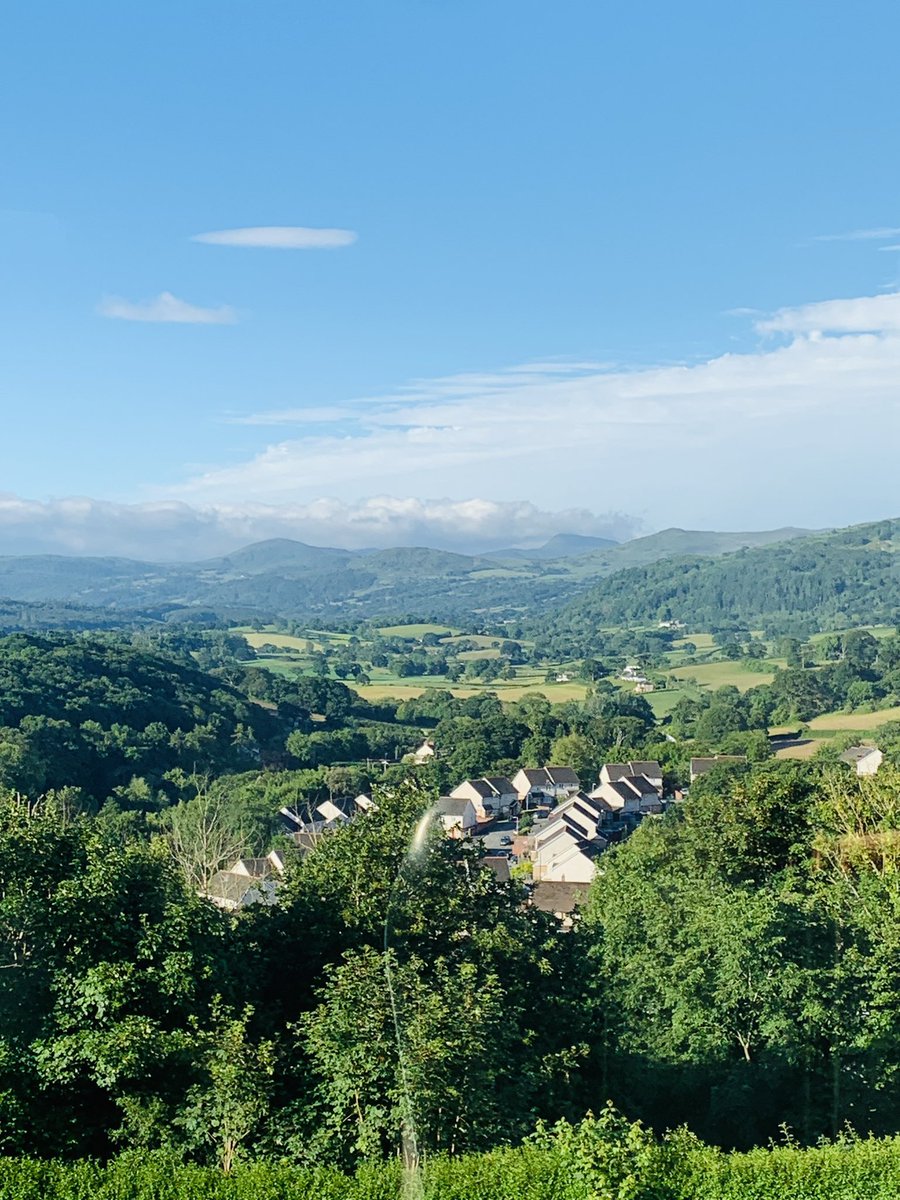 FernPrimary tweet media