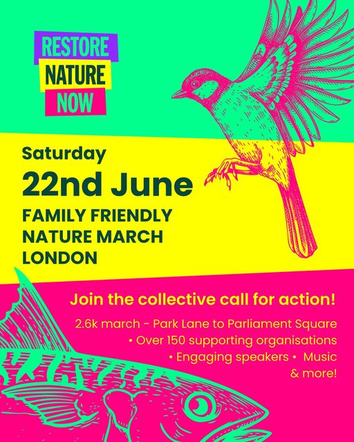 sascampaigns's tweet photo. 🚨 Tomorrow We March Together 🚨

If you're a surfer or a water user in London join the SAS block here -What3words
///dangerously.trying.decent at 11.30 (March starts at 12)

We're marching with 150 other organisations to send our politicians a message - Restore Nature Now https://t.co/JF5QRfv5YV