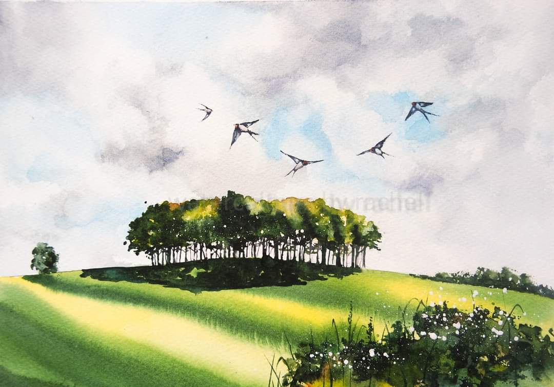 Elidanza's tweet image. Heading To Cornwall later today ...
Happy Friday xx

#watercolour #Cornwall #nearlythere #watercolourpainting #landscape #trees #birds #summer #wildlife #holidays #inspiration #art #painting #artist #paint