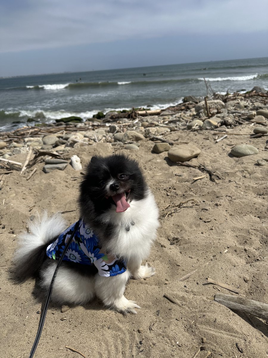 My son enjoying the beach