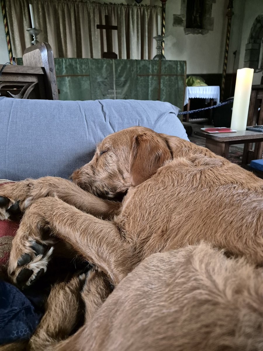 BLOCKCHAIN RECLAIM 🏆🏅 tweet media