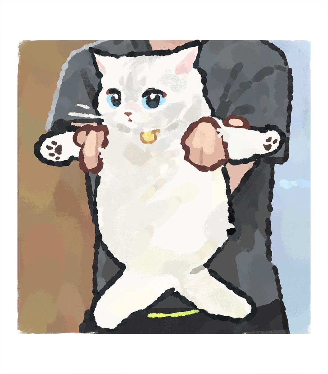gentleeeeeeecat's tweet photo. https://t.co/qOE7e5lAcv