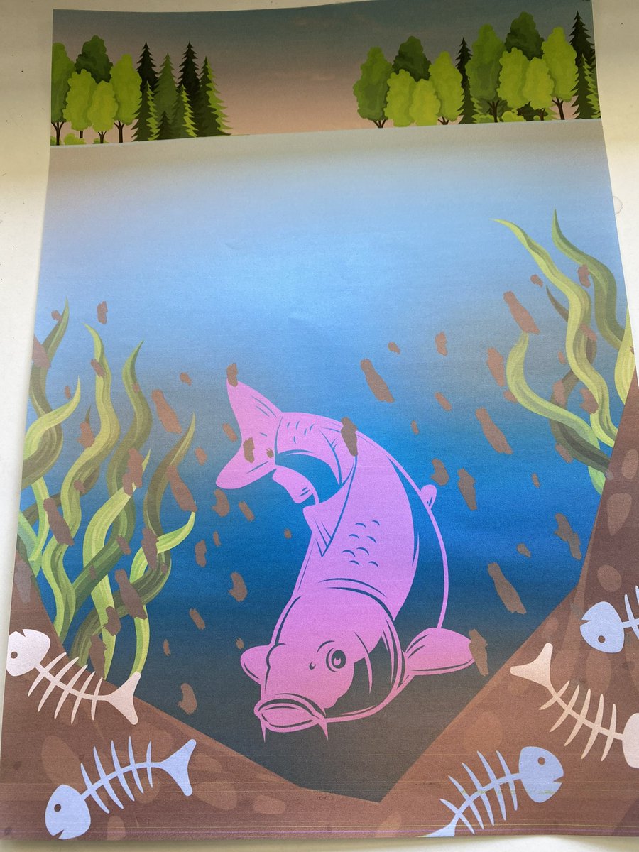 CoE_AgEd_RAC's tweet image. Creativity in abundance today as Year 7 Applied Learning tackle their call to action linked to their studies of the beautiful Hawkesbury River. #transdisciplinarylearning @NSWEducation @mccallumtp @westsyduhie @hawkesburyrema1