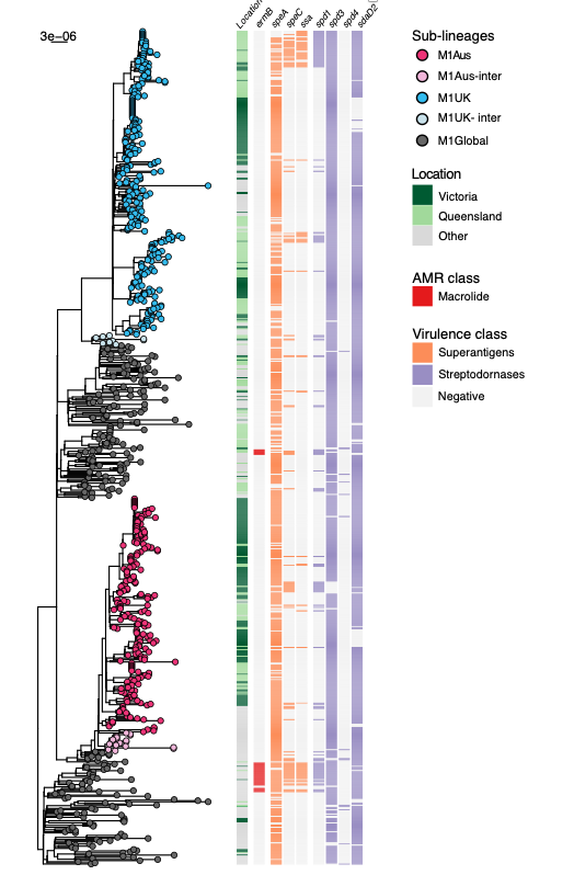 Our new pre-print is out on the gen-epi of invasive Group A Strep in Victoria #strepA 

We show not only the impacts of Covid-19 and the expansion of M1UK, but we found we had a previously dominant clone of M1 isolates (M1AUS). 

Check it out here 
papers.ssrn.com/sol3/papers.cf…