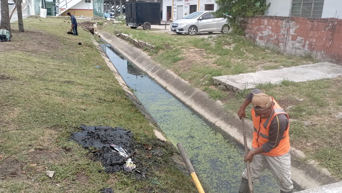 Secretaría de Servicios Públicos y Ecología tweet media