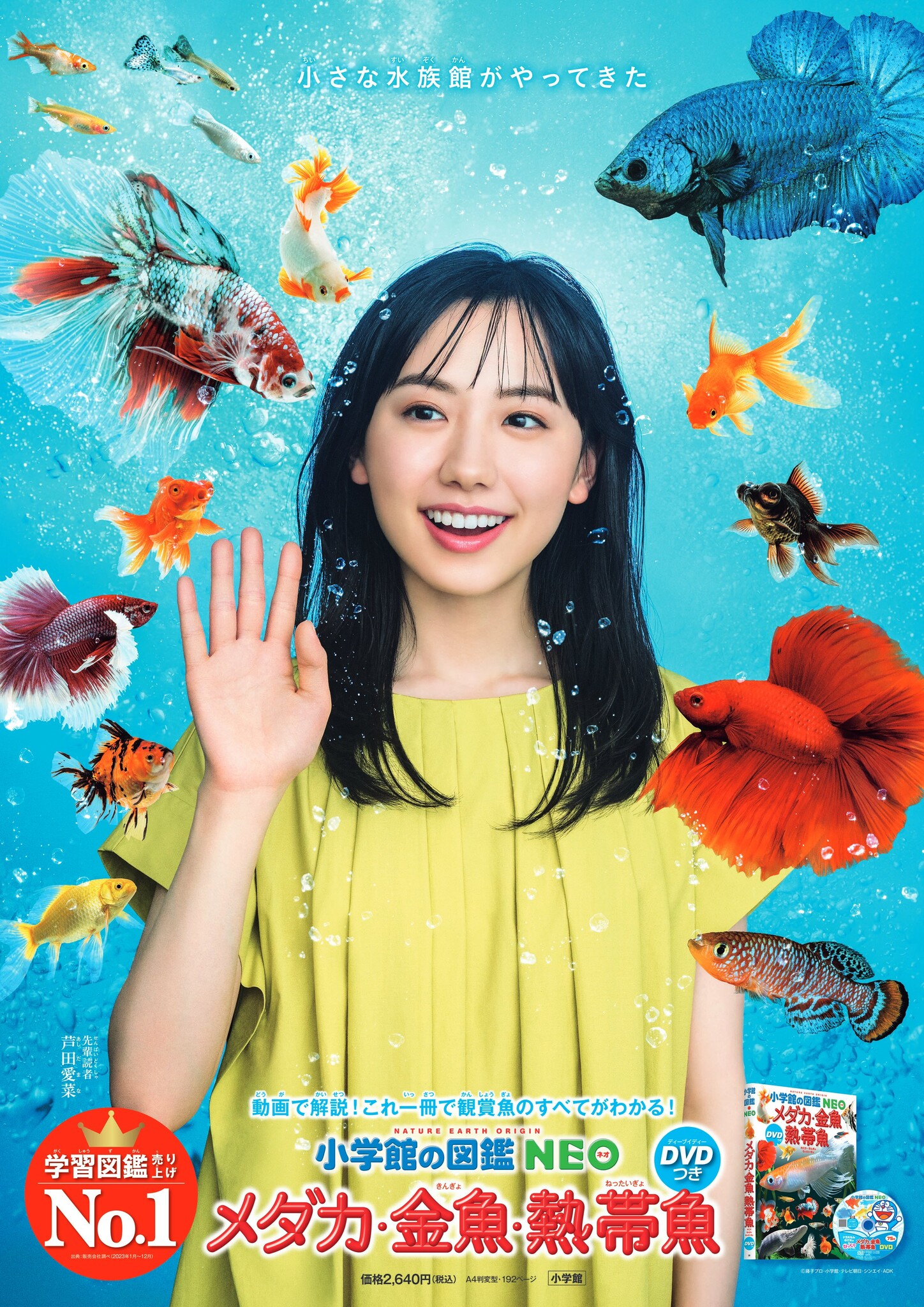 【新品未開封】芦田愛菜　2013　カレンダー＆ポスターセット Amazon.co.jp: 芦田愛菜 2013 カレンダー＆ポスターセット