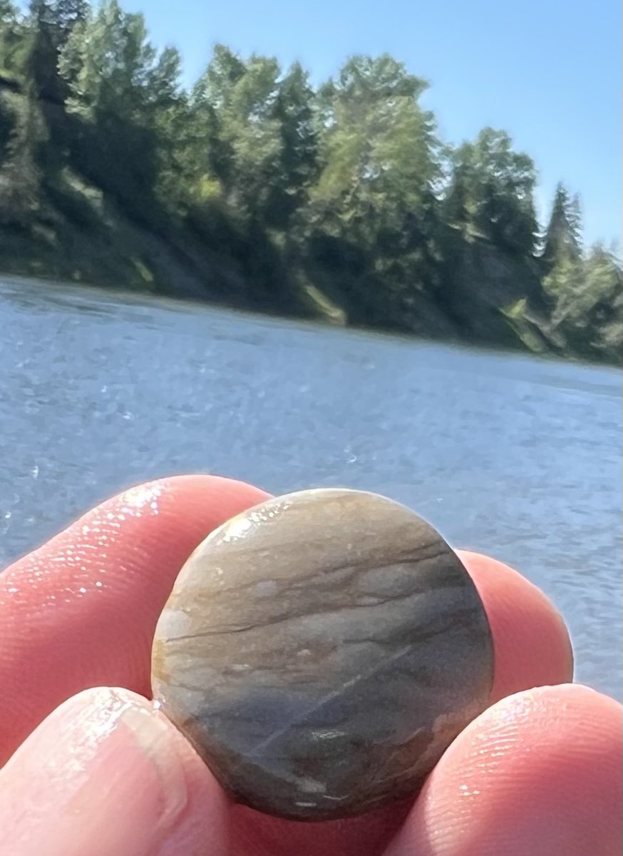 Justin Hubert 🇨🇦🏳️🌈 tweet media