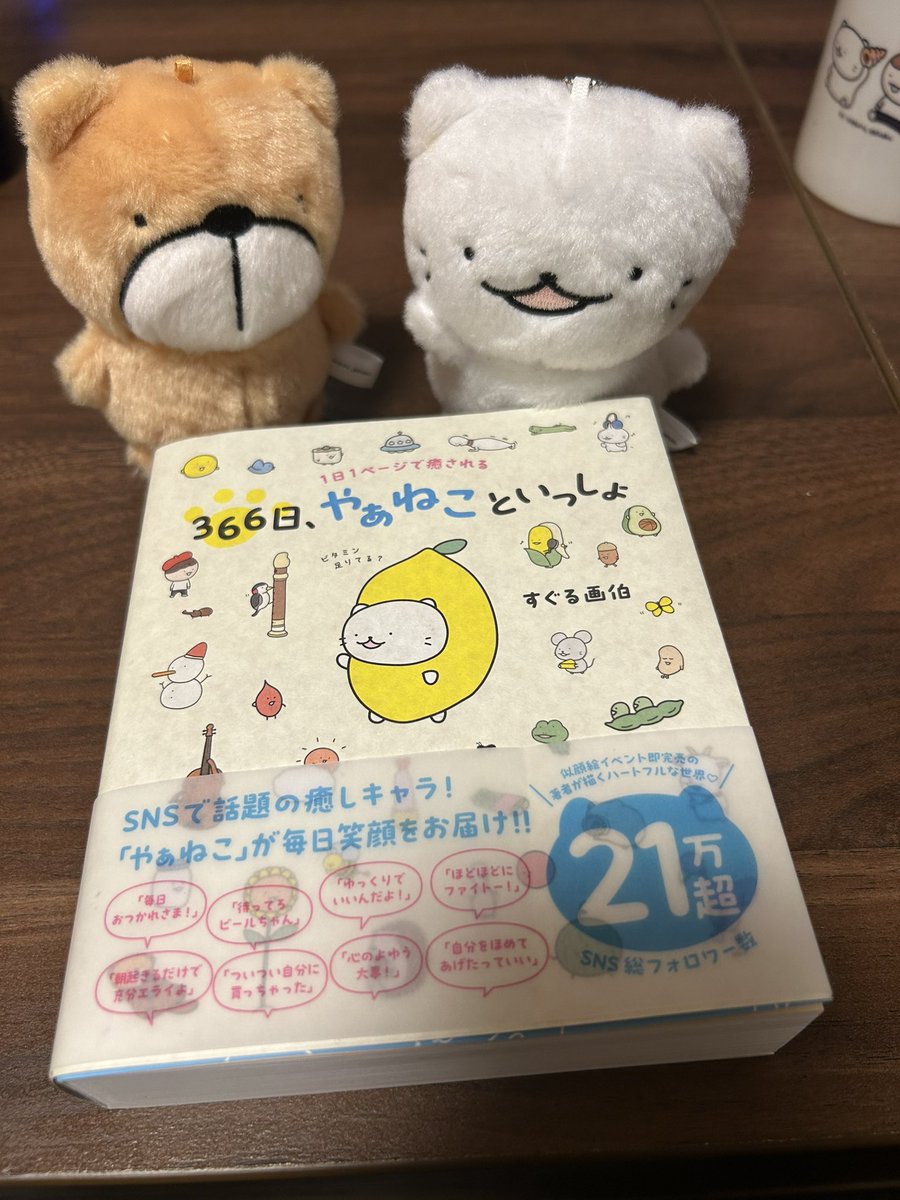 やぁちゃんさん専用ページ やぁちゃんさん専用ページ