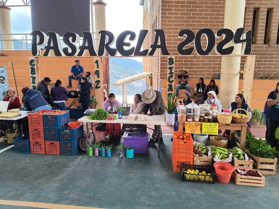 Diputado <a href="/Pablo_DiazJim/">Pablo Díaz Jiménez</a> Participa en Expo Feria para Impulsar el Desarrollo

El diputado destacó la importancia de estas iniciativas para el crecimiento económico y social de las comunidades originarias.
<a href="/MorenaOaxaca1/">Morena Oaxaca</a> #TrabajemosEnEquipo #SoyMixe

laverdaddeoaxaca.com/diputado-pablo…