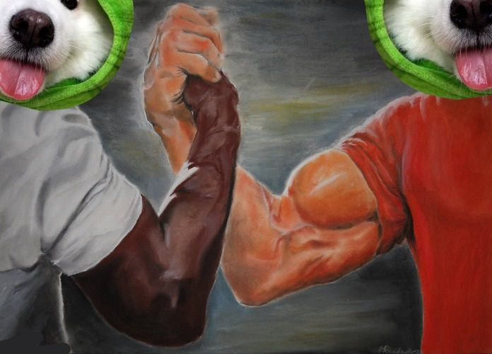 frogdogtoken's tweet photo. No pain, no gain

#FROGDOG #SOLANA https://t.co/tKE0IyG1En