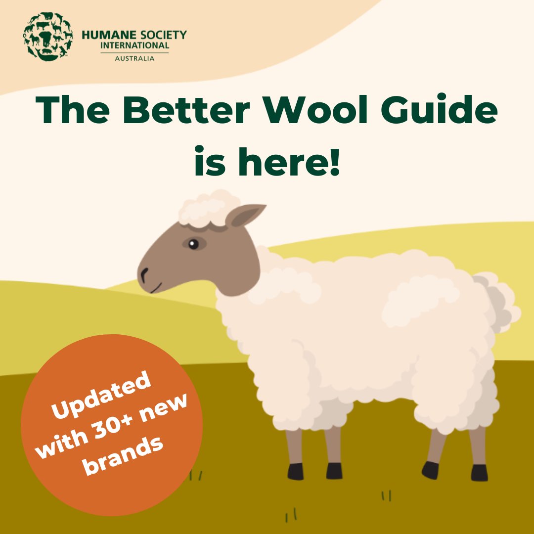 Humane World for Animals Australia tweet media