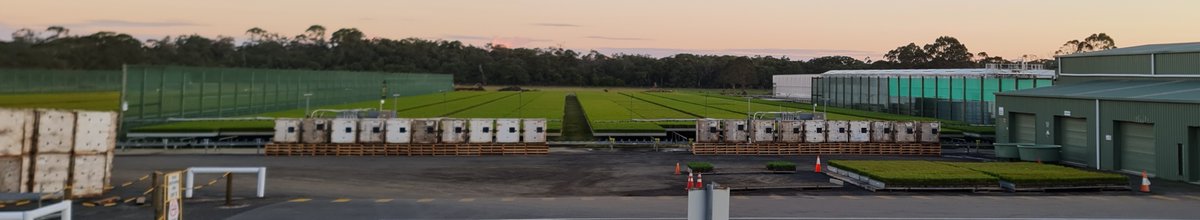 Super encouraging this month to see application of our <a href="/westsyduhie/">Western Sydney U - HIE</a> research together with our industry partners: 7M seedlings now receiving significantly less fertilisation and fungicides to promote a beneficial microbiome and environmental sustainability!