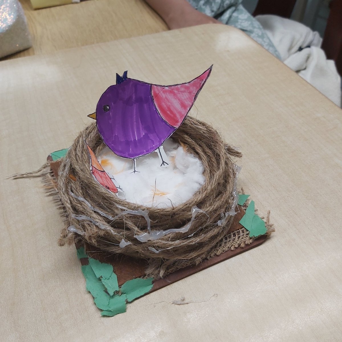 Bird's nest projects