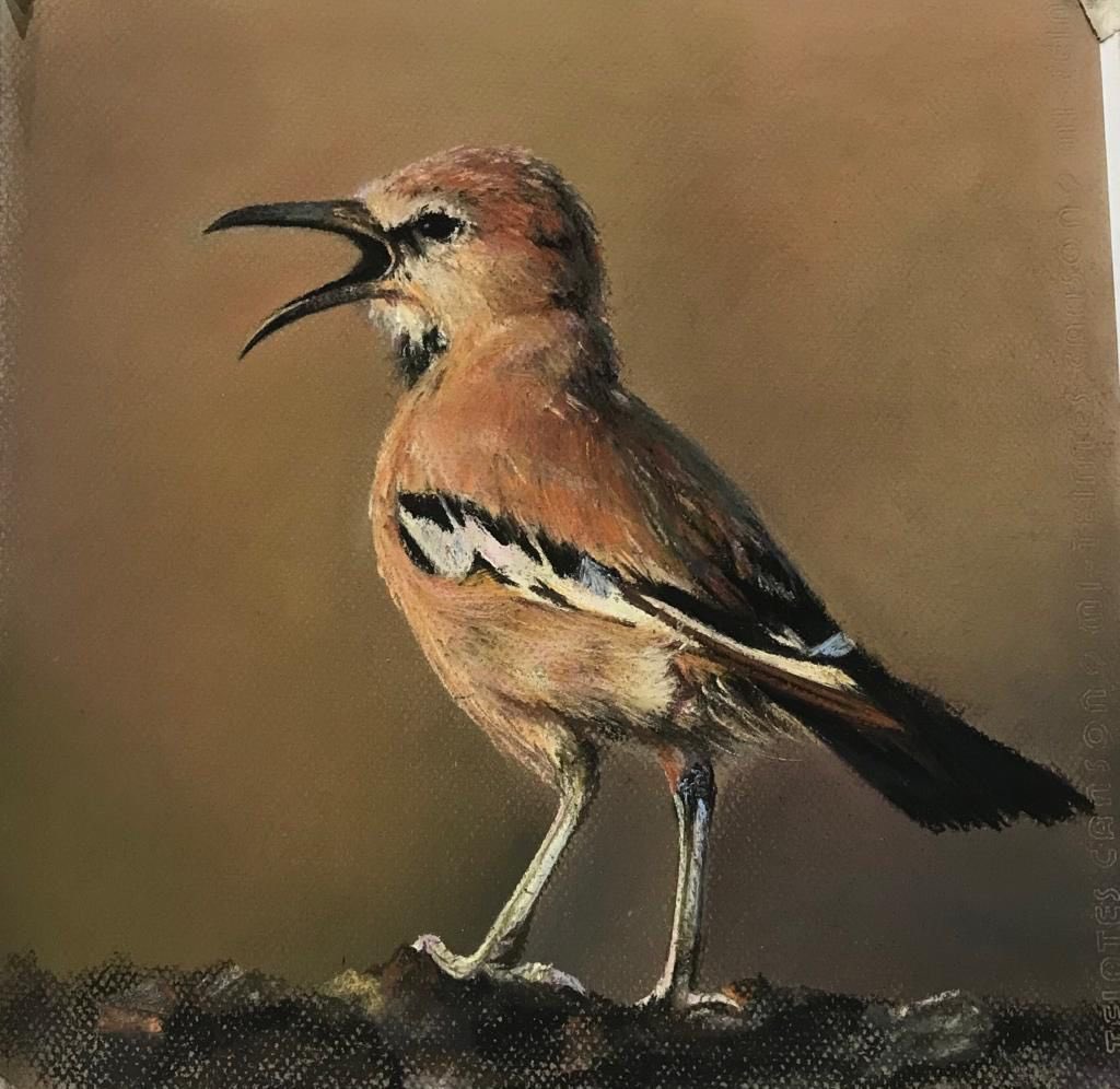kamranin64's tweet photo. GM fam 
my painting is from my nature collection:  
zaq-e-boor
1/1 edition 30xtz
This painting is a collection of paintings of endangered species, which are painted with pastel technique,it is  valuable project in the field of protection of Wildlife
https://t.co/PkFjluZAMs https://t.co/xCW0gMNrmz