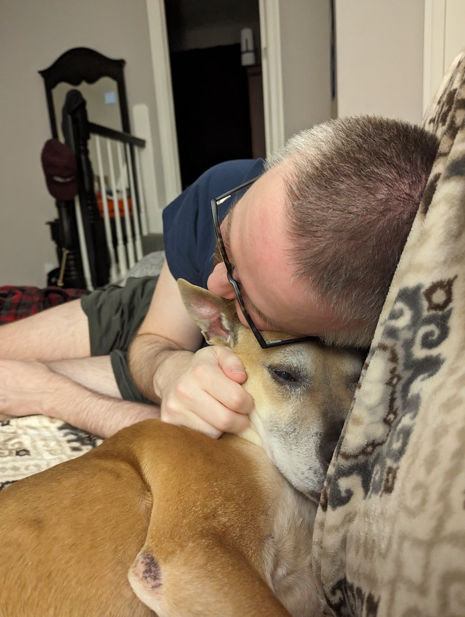 Matt Sullivan tweet media