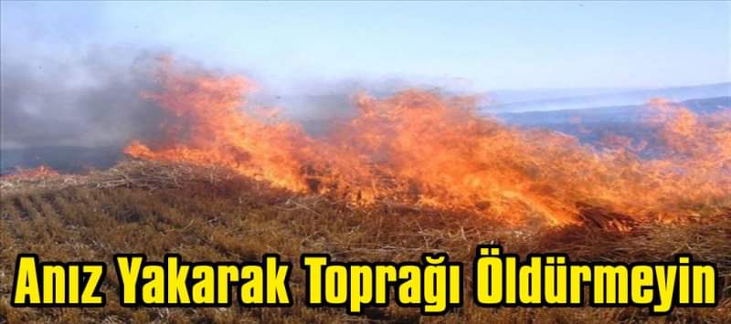 YozgatValiligi's tweet photo. Anız Yakmak Çevreye ve Cebinize Zarar Veriyor

Hububat hasat sezonu sonrasında tarlalarda bırakılan anızın yakılması hem çevresel sonuçlar doğuruyor hem de ekonomimize zarar veriyor. Yasaklanmasına ve pek çok olumsuz etkisine rağmen, birçok çiftçi tarafından sıklıkla başvurulan bu yöntem, toprak verimliliğini ciddi şekilde etkiliyor.

Anız yakmanın zararları toprak yapısından, canlılığına; çevresel dengelerden, trafik güvenliğine kadar uzanıyor. Yakılan anızlar sonucunda topraktaki faydalı canlılar ve organik madde yanarak yok oluyor, bitkilere yararlı besin maddelerinin azalması ile birlikte zaman içinde toprağın verimliliği düşüyor. Ayrıca, bu yangınlar orman alanlarına sıçrayabiliyor, enerji iletim hatlarına zarar verebiliyor, sis oluşumuna neden olarak trafik kazalarına yol açabiliyor ve çevredeki tarlalara, yerleşim birimlerine zarar verebiliyor.

Anız yakma yasağının toprak verimliliğini koruma, çevresel ve ekonomik zararları önleme gibi önemli nedenlere dayandığı biliniyor. Bu sebeple tüm çiftçilerimizin ve vatandaşlarımızın bu konuda gösterilecek hassasiyet ve alınacak tedbirler konusunda bilinçli olmaları hem toprağımızın hem de ekonomimizin korunması adına büyük önem taşıyor.