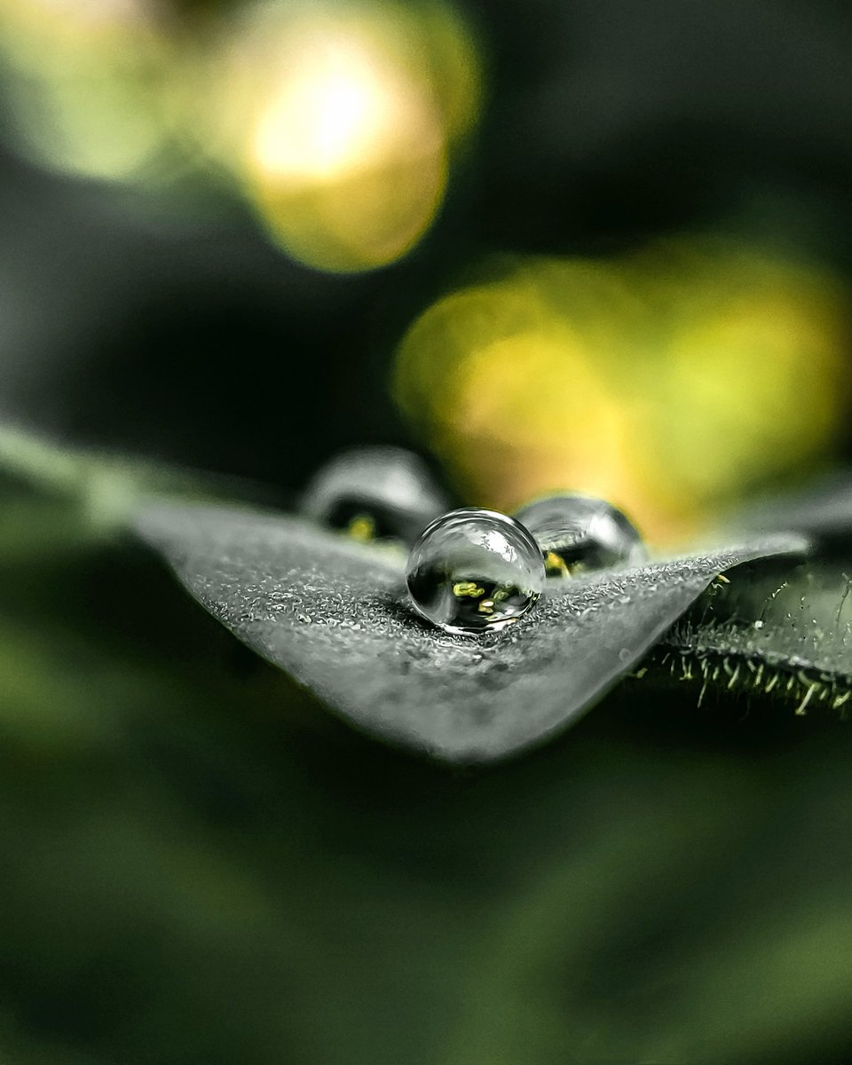 jeetsnaps's tweet image. Good morning 🌞🌄 

#Waterdrop #ShotOnPOCO #ShotOnPhone 
#ShotOnSnapdragon 

@Snapdragon 
@Snapdragon_IN