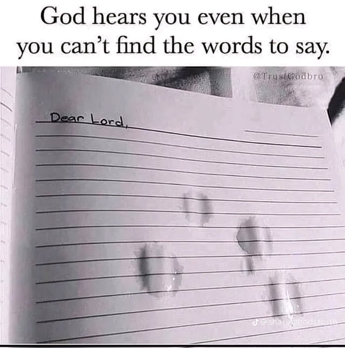 Lessons19011939's tweet image. 