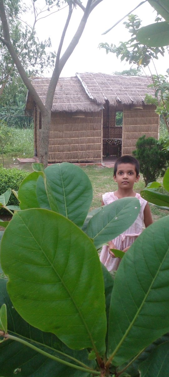 HowladeKumer's tweet image. 